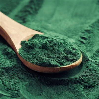 Chlorella darbiga jabay